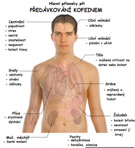 hlavni_priznaky_pri_predavkovani_kofeinem.png